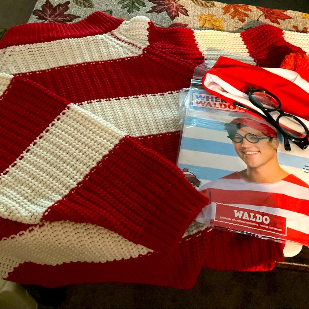 Where’s Waldo costume.
